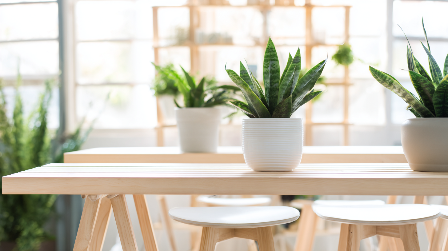 Purify Air and Enhance Focus